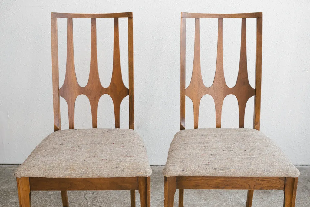 Brasilia Dining Chairs