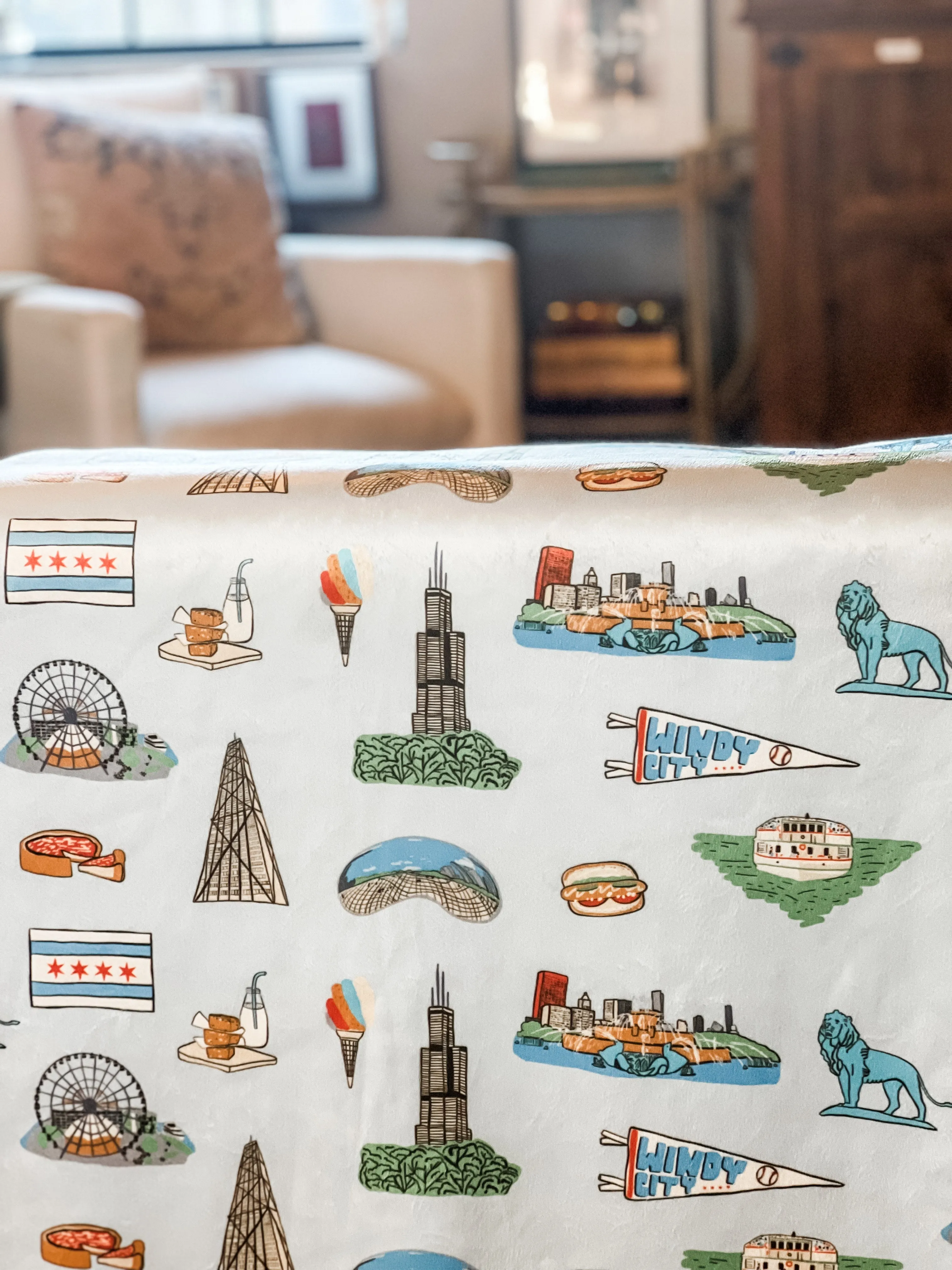 Chicago Plush Throw Blanket 60x80