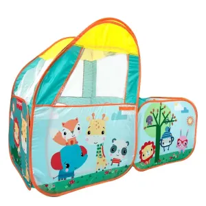 Fisher Price Ball Pit Playset