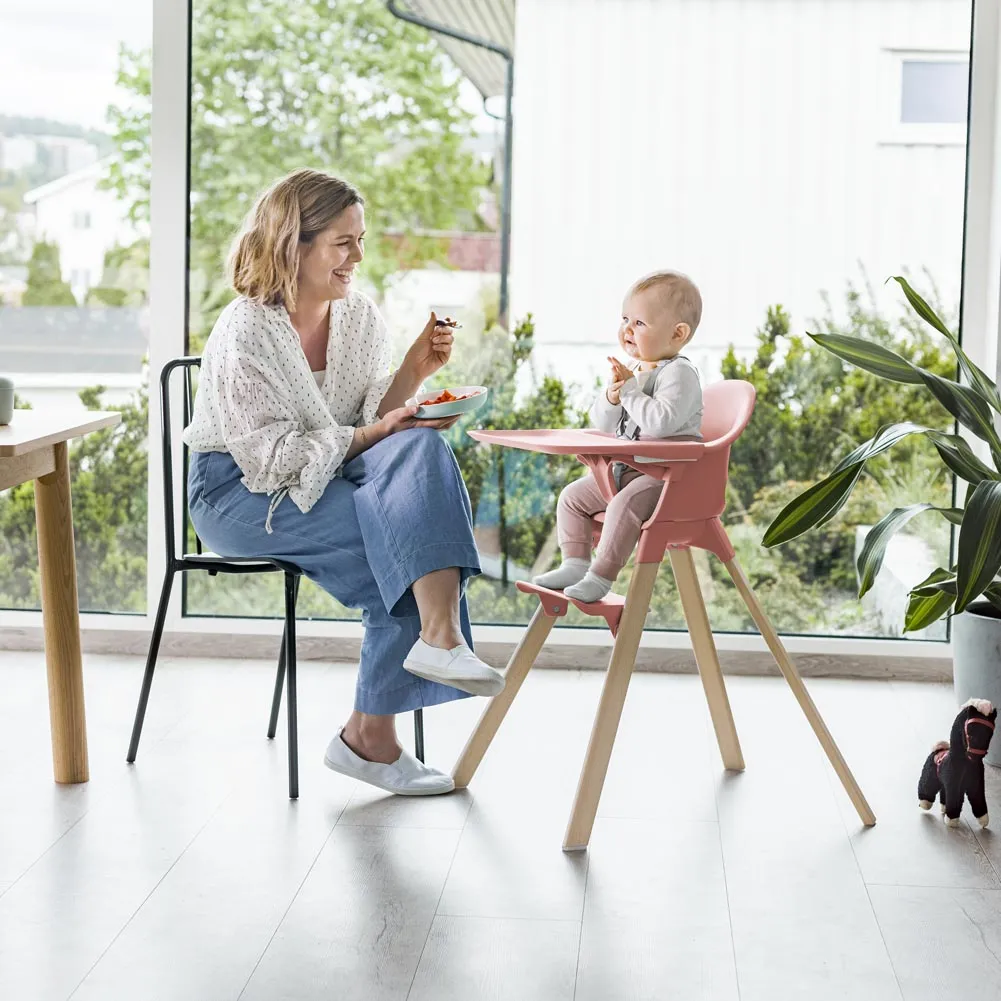 Stokke Clikk High Chair